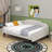 Full Size Upholstered Tufted Daybed