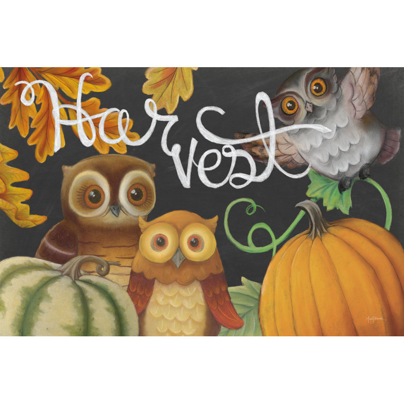 Harvest Owl IV by Mary Urban - Wrapped Canvas Painting, 61cm H x 91cm W x 3.8cm D