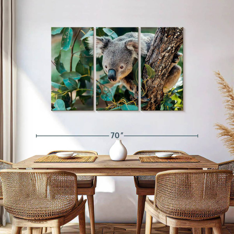 Australie Koala
