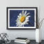 White Daisy Vol.5 Painting - Picture Frame Graphic Art-62765540-62765541