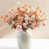 Beige / Rose