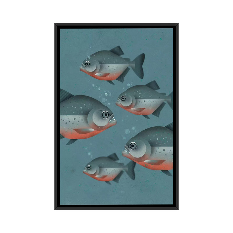 Piranhas by Dieter Braun - Print on Canvas, 101.6 cm H x 66.04 cm W, Black Framed