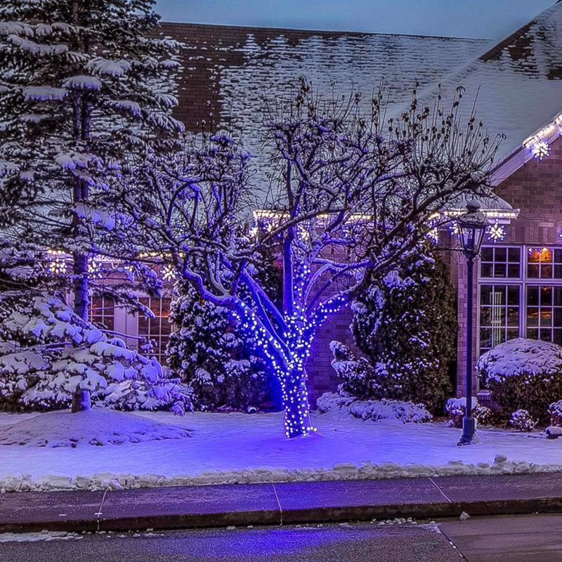 Guirlande de lumières de Noël 50 pi., Bleu