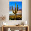 Parc national Harnek Saguaro Est III-108445413