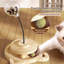 Distributeur de jouets pour chat