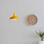 Cisco 1 - Light Single Pendant-1035175358