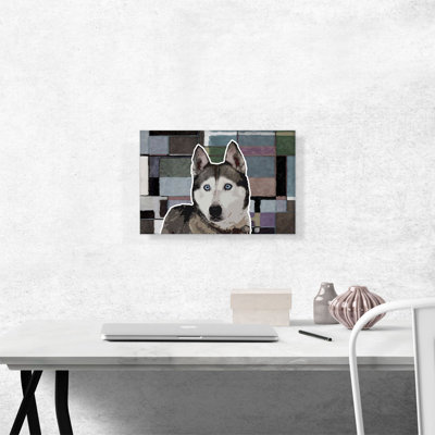 " Siberian Husky Dog Breed "