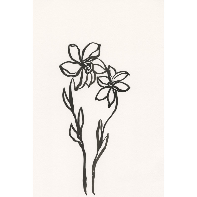Ink Botanical Sketch IV by J. Holland - Wrapped Canvas Painting, 46cm H x 30cm W x 3.8cm D