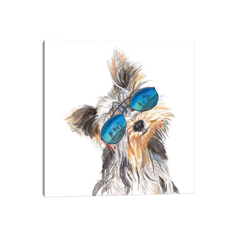 Yorkie With Shades by Patricia Pinto - Wrapped Canvas Gallery-Wrapped Canvas Giclée, 30.48cm H x 30.48cm W