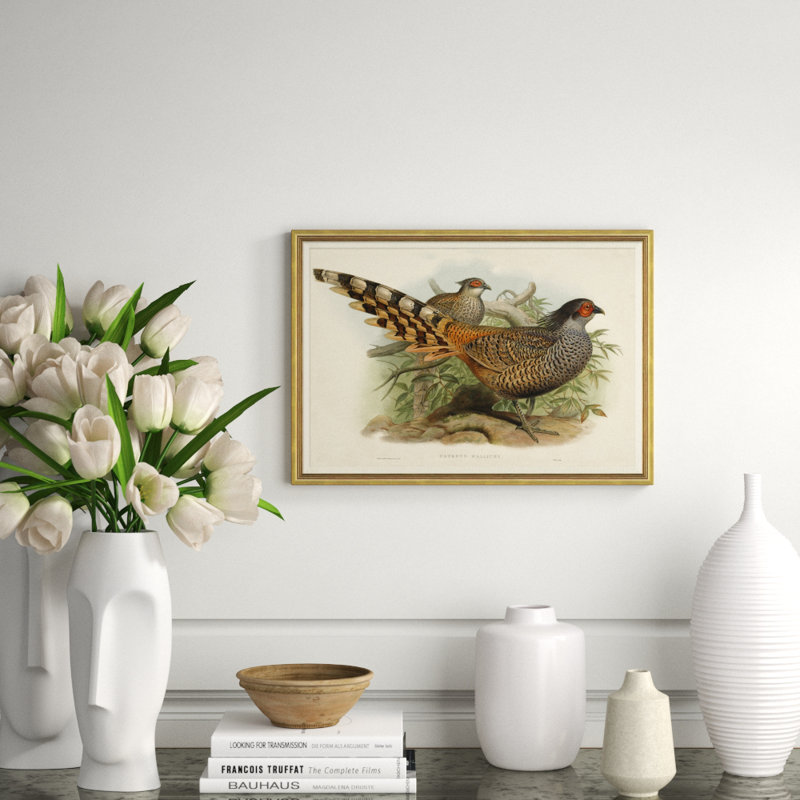 Pheasants From Gould's Birds Of Australia 4 Giclee Print