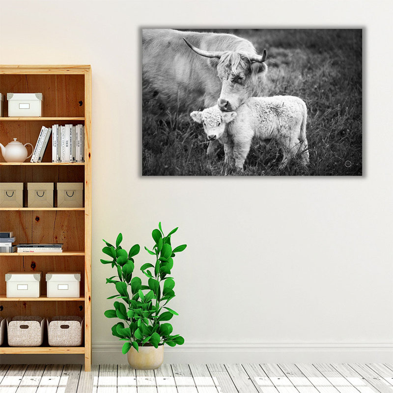 «Cow Care Black and White», reproduction d'art sur toile, H 12 po x l 18 po
