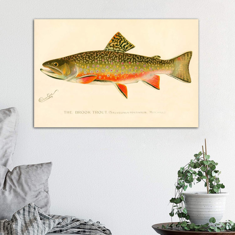 The Brook Trout - impression d'art graphique, Toile tendue, H 18 po x l 26 po x P 1,5 po
