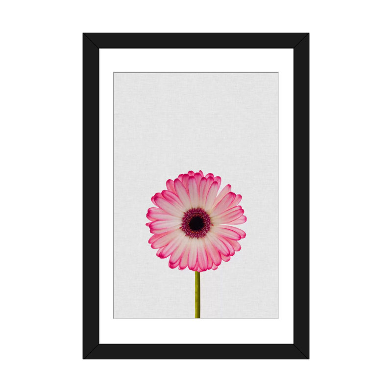 «Daisy», impression sur toile, H 32 po x l 24 po x P 1 po, Papier d'art encadré noir, Blanc
