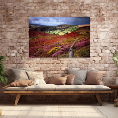 Meadow Clwyd Nr Llangollen, Pays de Galles, art abstrait contemporain de fleurs colorées