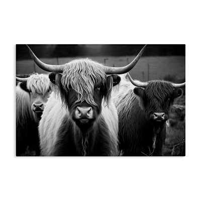 Art mural noir et blanc Highland Cows par Franklyn Gregory bp-460_CN