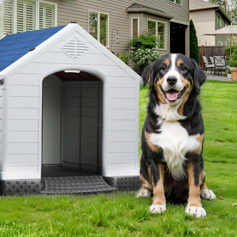 Niche pour chien en plastique Aunyae, Bleu, H 32 po x l 31 po x P 34 po