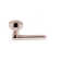 Alpine Lever 92 Single Dummy Set with Round Rose