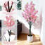 150cm Plant