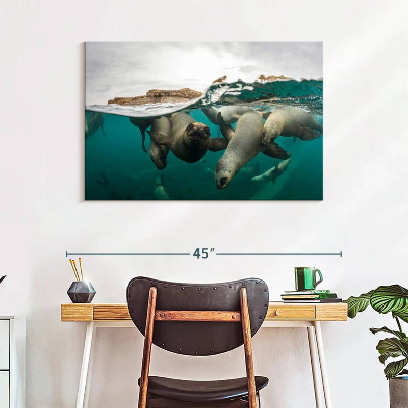 Brampt Swimming Sea Lions, 26" H x 39" W