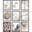 Ensemble de fleurs neutres, cheval et cerf, art moderne, 9 pièces-92574109-92574111