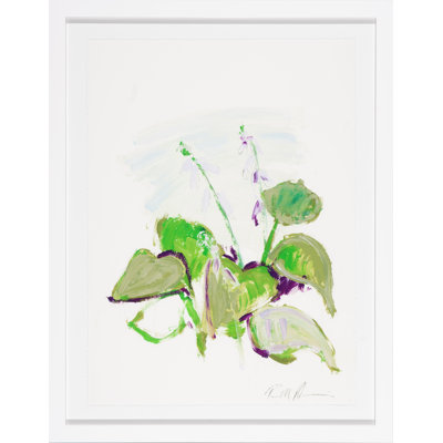«White Glove Series Hosta» par Robert Robinson - Reproduction d'art sur papier encadrée