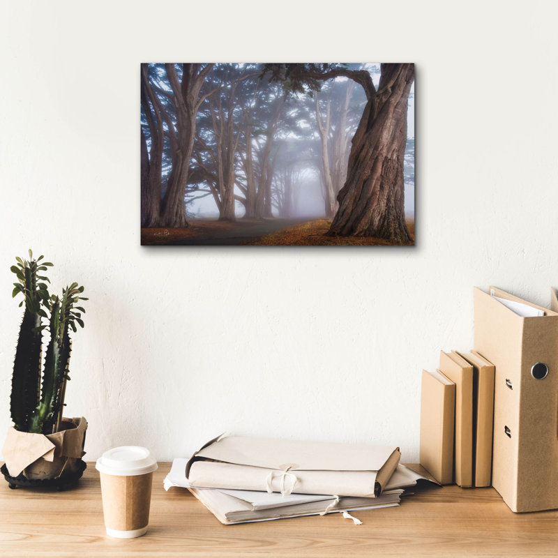 Toile épique Graffiti «Cypress Tree Tunnel» par Martin Podt, 18 po x 12 po, H 12 po x l 18 po