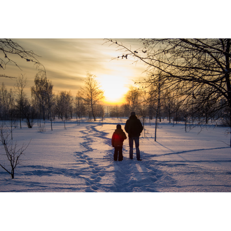 Winter Forest by Scadidi - Wrapped Canvas Print, 30cm H x 46cm W