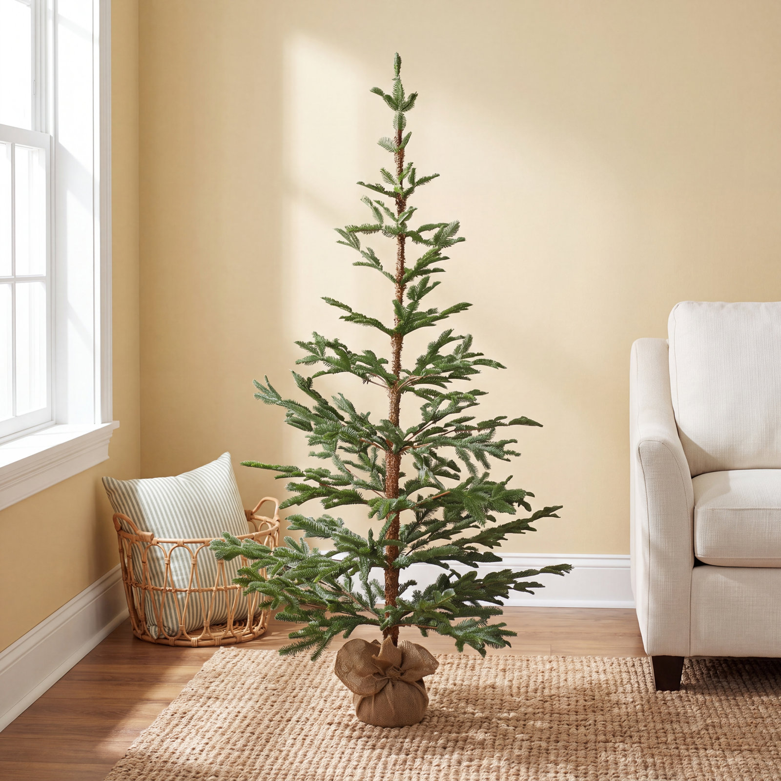 Ponderosa Pine Christmas Tree, 5' H