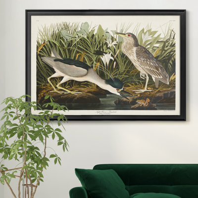 Night Heron - reproduction d'art sur toile encadrée