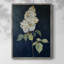 Impression encadrée FLORAL Series CLXV - bois massif-582198949