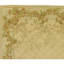 Wool Floral Area Rug in Gold-74939267