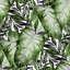 Roll Mural Kitchen Livingroom Bedroom - Monstera Leaf S-1982713551