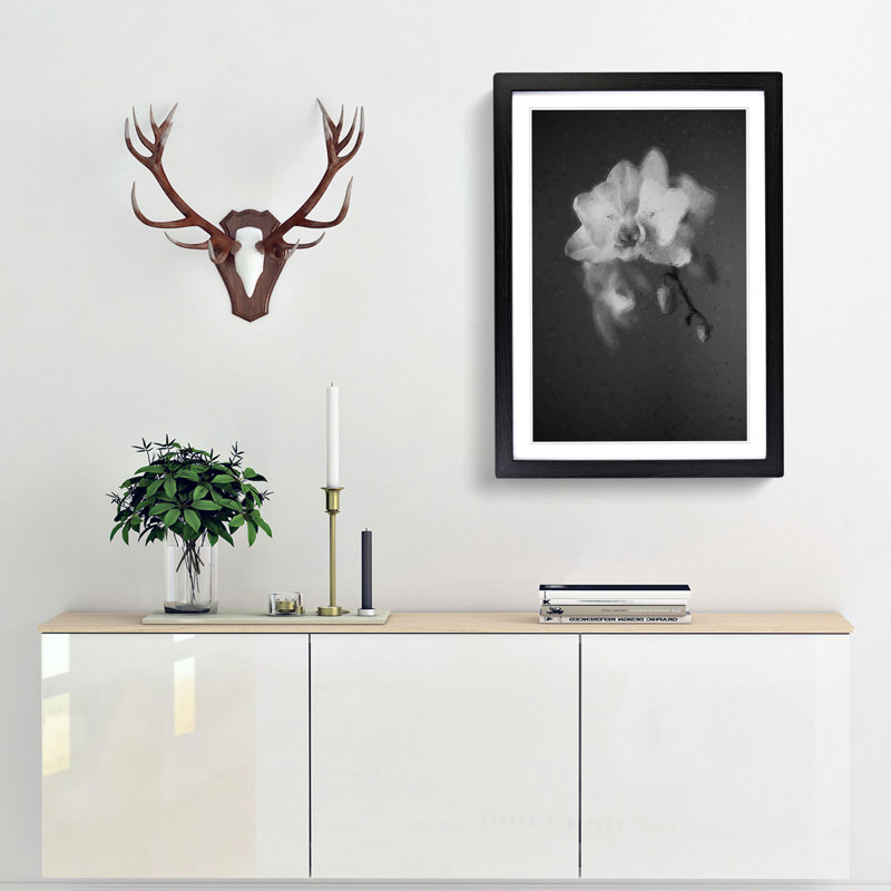Pretty White Orchid - Framed Print, 50cm H x 35cm W x 2cm D, Black