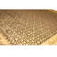 Hand Knotted Wool Oriental Area Rug in Gold