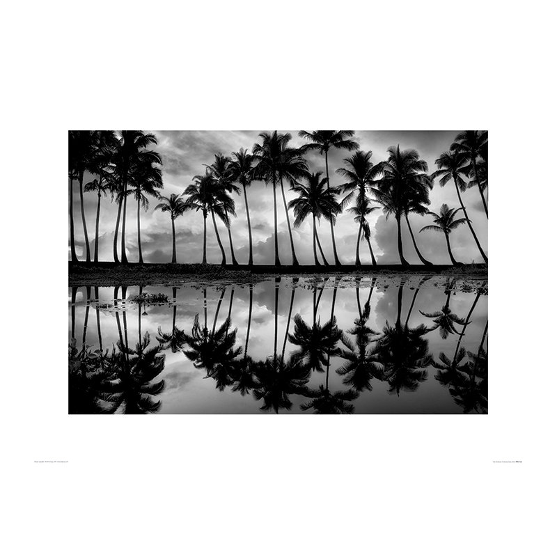Print on Canvas, Paper