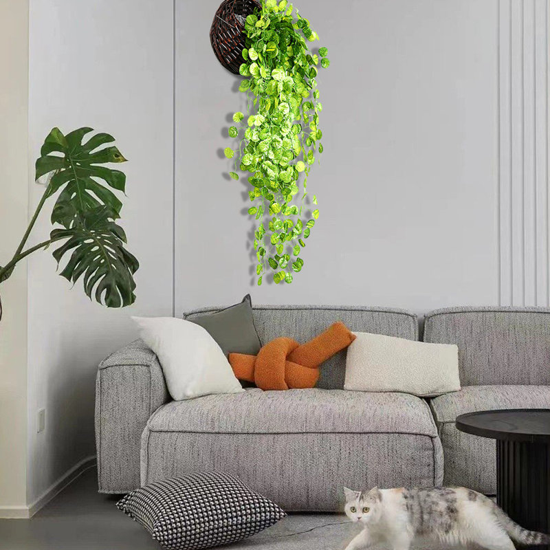 35,4 po plante faux bégonia