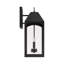 Lanterne murale d'extérieur moyenne 2 lumières l 8 po x H 20,5 po Ezra en verre transparent noir
