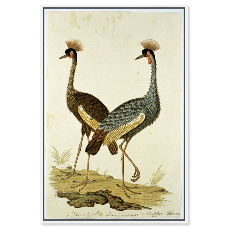 Animaux, couronnes et grues - Peinture sur toile, Cadre blanc, H 15 po x l 10 po