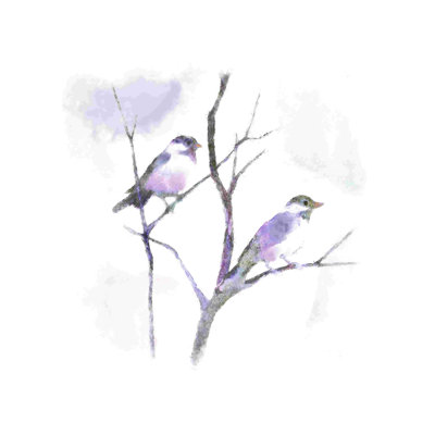 " Watercolor Birds On A Branch " Painting Print