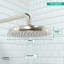 Raindance C 180 Rain Shower Head-5957248