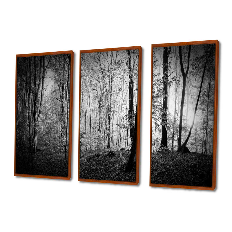 «Beautiful Forest Morning Panorama», ensemble de 3 toiles encadrées, H 28 po x l 36 po, Brun