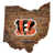 Bengals de Cincinnati