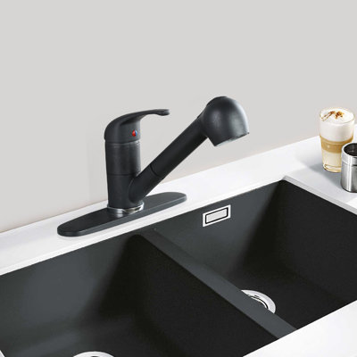 WOWOW Pull Out Kitchen Faucet