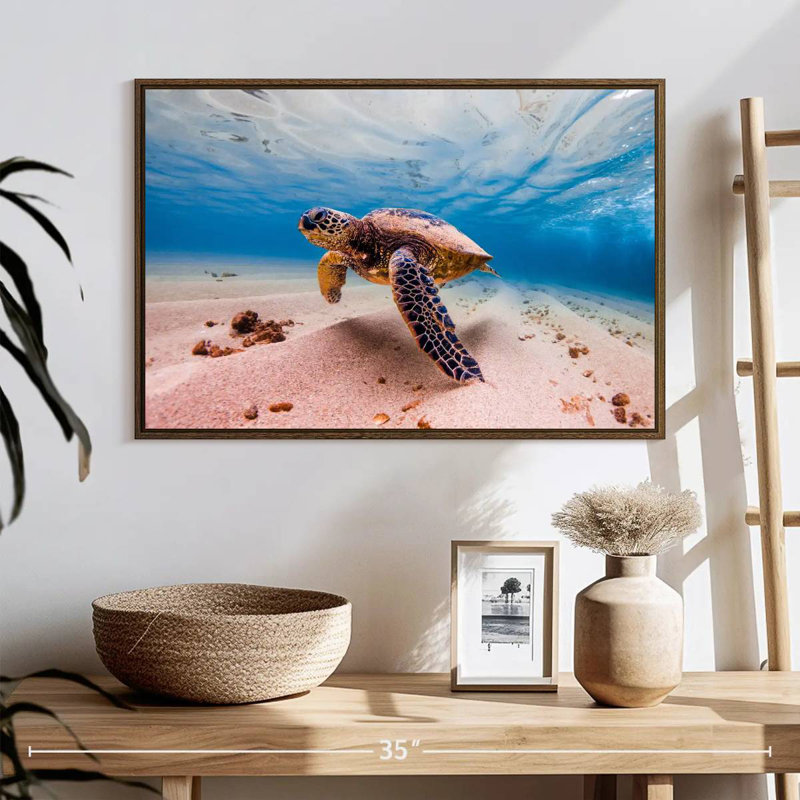 Tortue de sable, 25 po x 17 po, Cadre flottant noyer