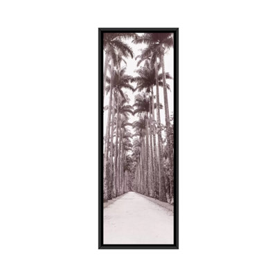 «Garden Path, Rio De Janeiro, Brésil», reproduction de photo sur toile