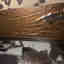 Customer photo 2 of 3
