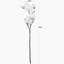 Magnolia Arrangement-545489515