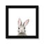 Art encadré en lapins forestières-48188934-48188939