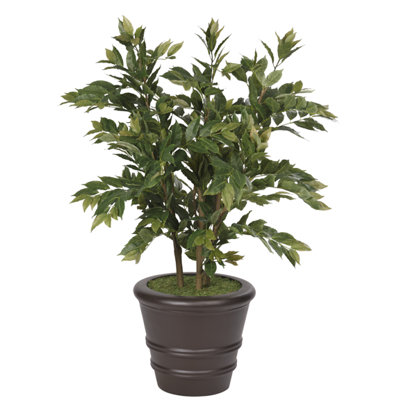 Nandina, pot à fleurs Orbit Mocha, l 39 x P 40 x H 5