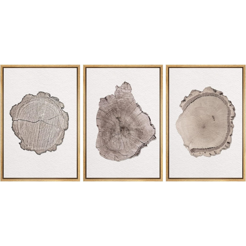Anneau d'arbre, texture de bois brun, gros plan, décor neutre encadré sur toile, 3 pièces, art mural, Naturel